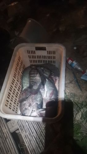 仙山钓场