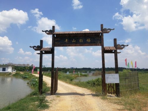 丰山钓场