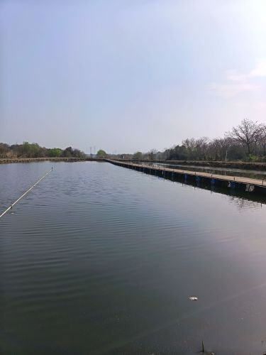 花城钓场