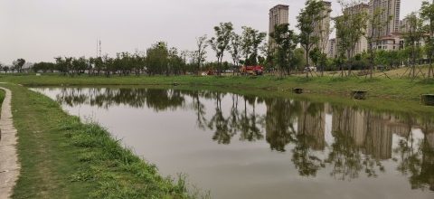 朝阳钓鱼场
