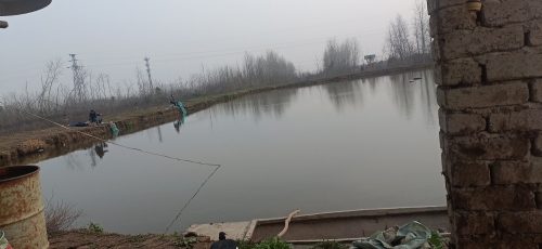 小崔钓场