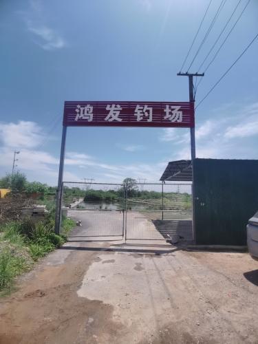 鸿发钓场