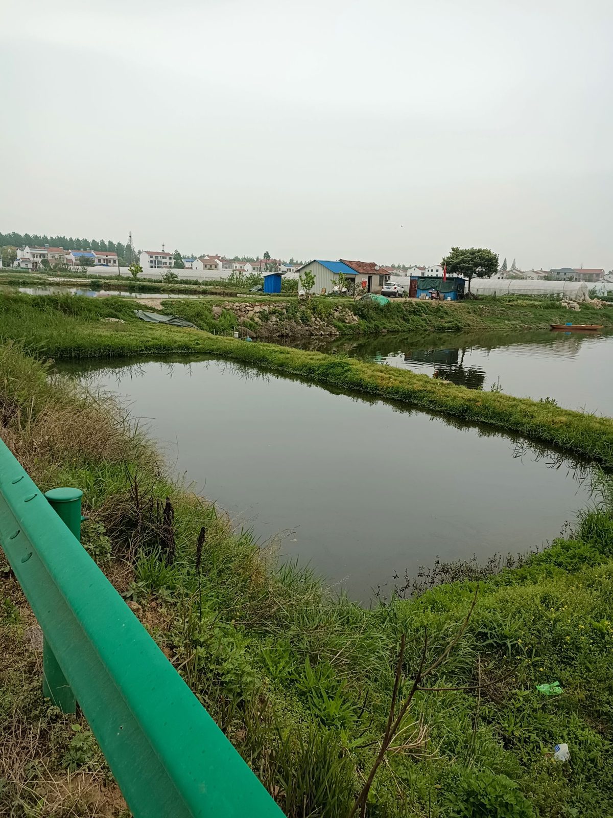 老肖钓场