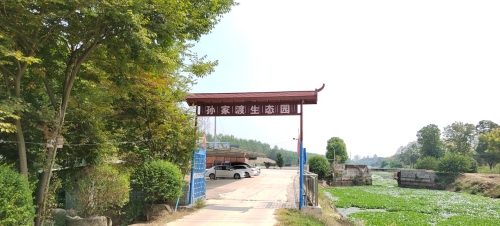 蔡甸区孙家渡钓场