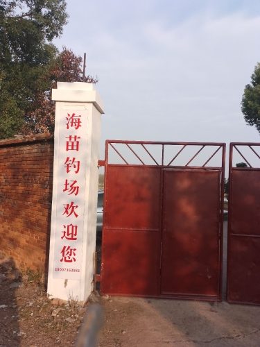 蔡甸海苗钓场