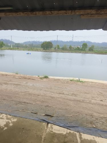 嵩阳钓场