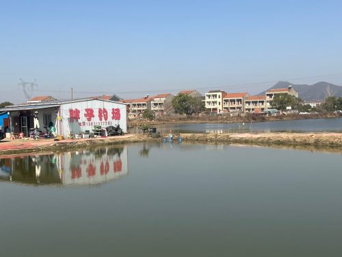 胖子钓场