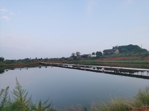 渔乐休闲垂钓园