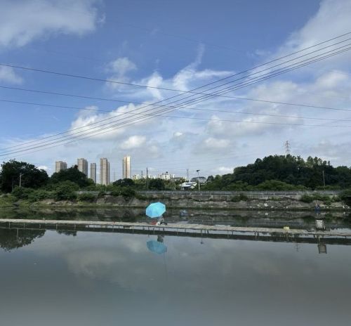 戴家湾钓场