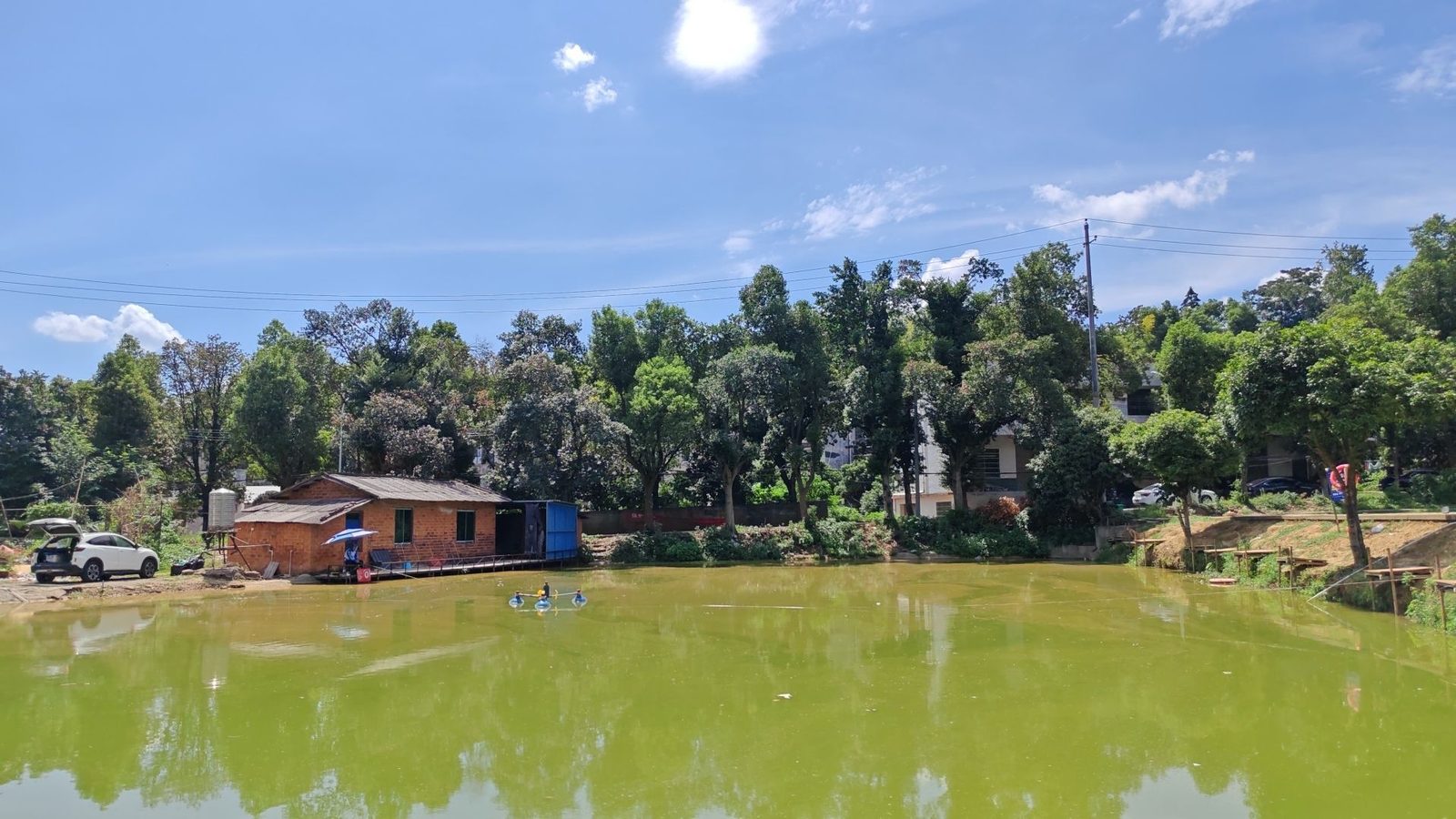 小强钓场