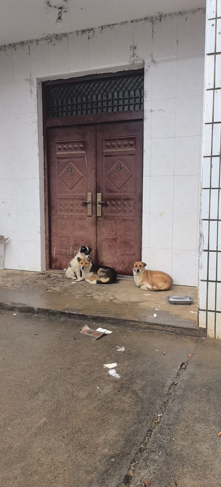 小鱼钓场
