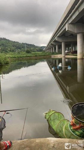 杨浩钓场