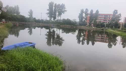 光明村江湖钓场