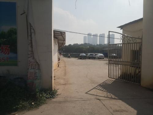 水渡河巨物钓场