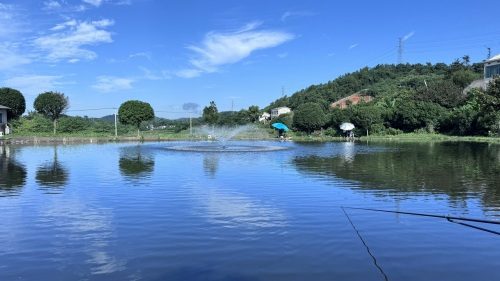 含浦泉塘钓场