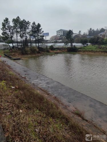 勇哥钓场
