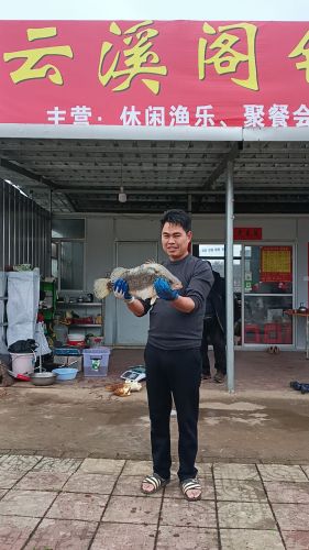 云溪阁钓场