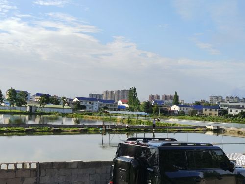 大家乐钓场