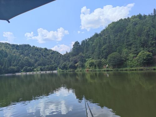 道山钓鱼基地