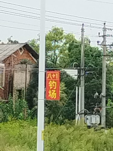 八+1钓场