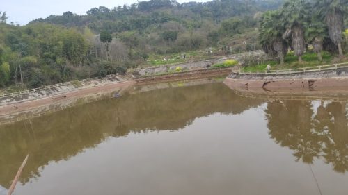 石龙山鱼乐钓场