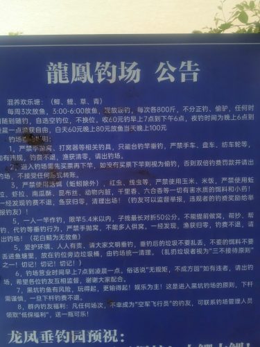 龙凤钓场