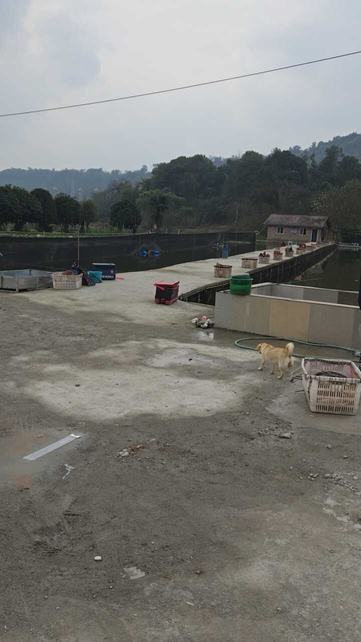 石板休闲钓场