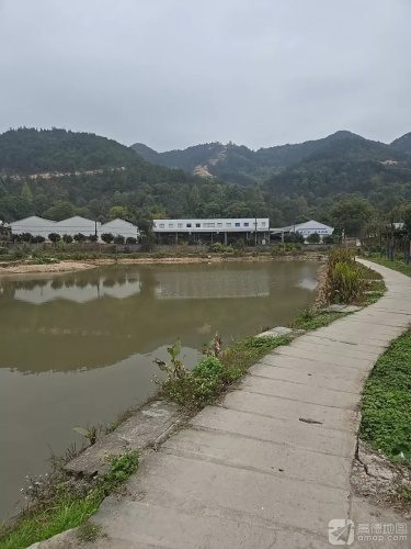 青山绿水休闲钓场