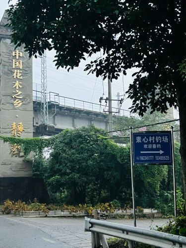 素心村钓场