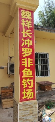 魏祥长冲罗非鱼钓场