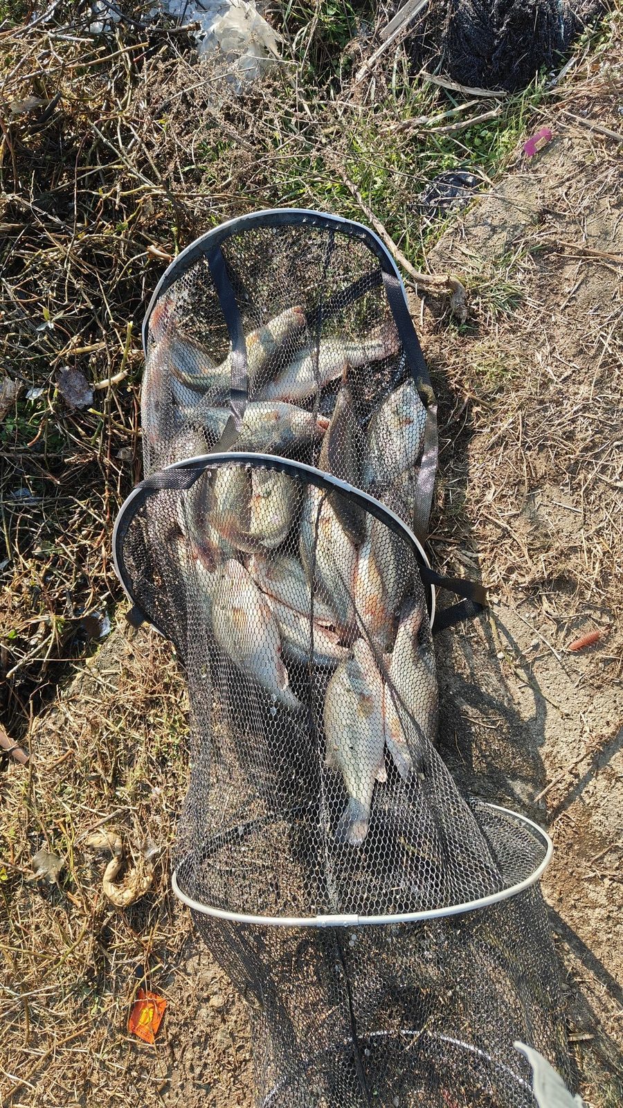 鸡公山溪流钓场