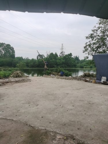 百乐村钓场