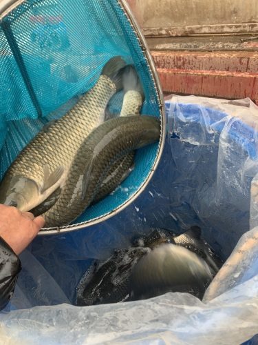 游渔湾休闲垂钓