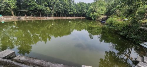 老兵钓鱼山庄