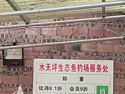 水天坪清水鱼钓场