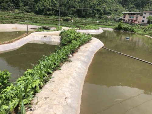 白坦青龙钓场