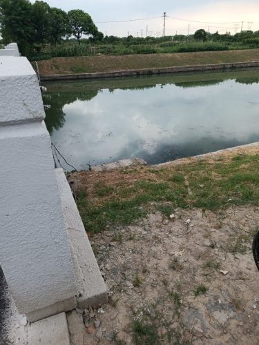 垂钓圣地