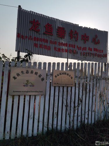 龙鱼垂钓中心