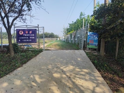 渔沥农场垂钓