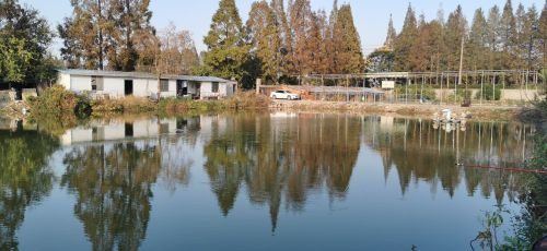 红山钓场
