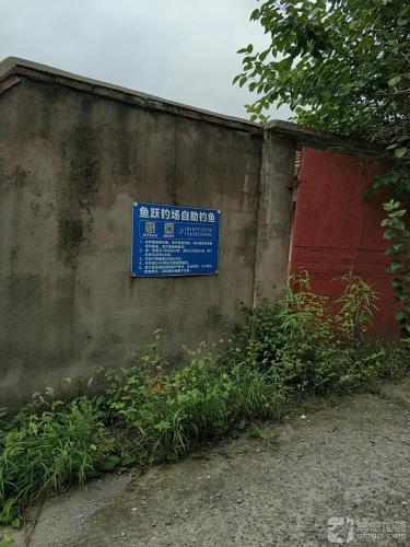 鱼跃钓场