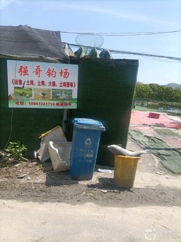 强哥钓场