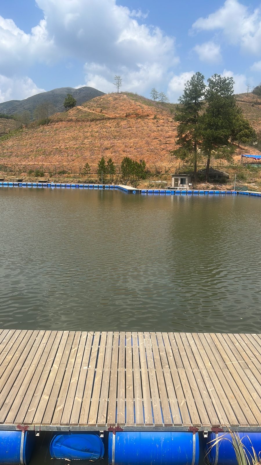 富鱼湾钓场