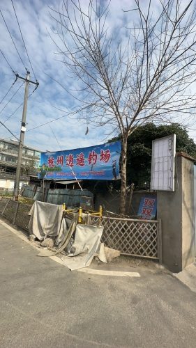 杭州金鲤鱼钓场