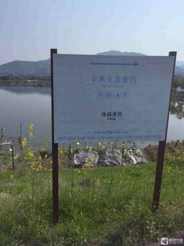 丰渔生态垂钓