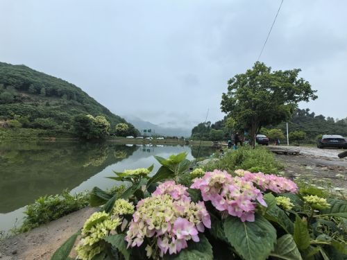 千家垂钓基地