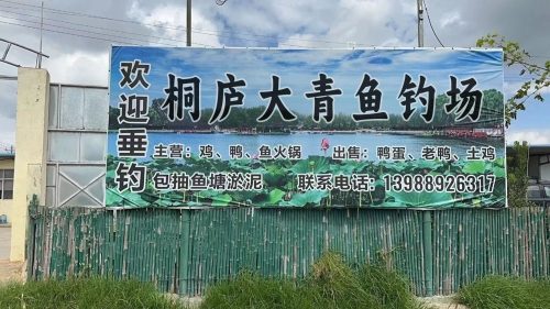 桐庐大青鱼钓场