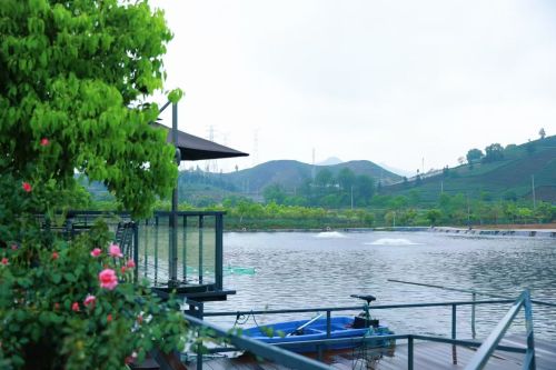 春望生态垂钓园