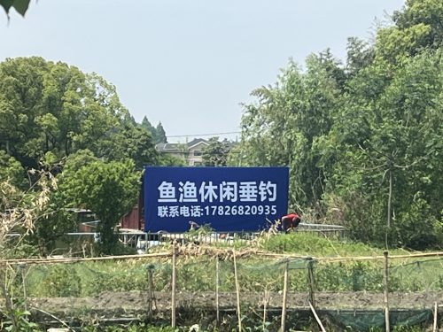 鱼渔休闲垂钓