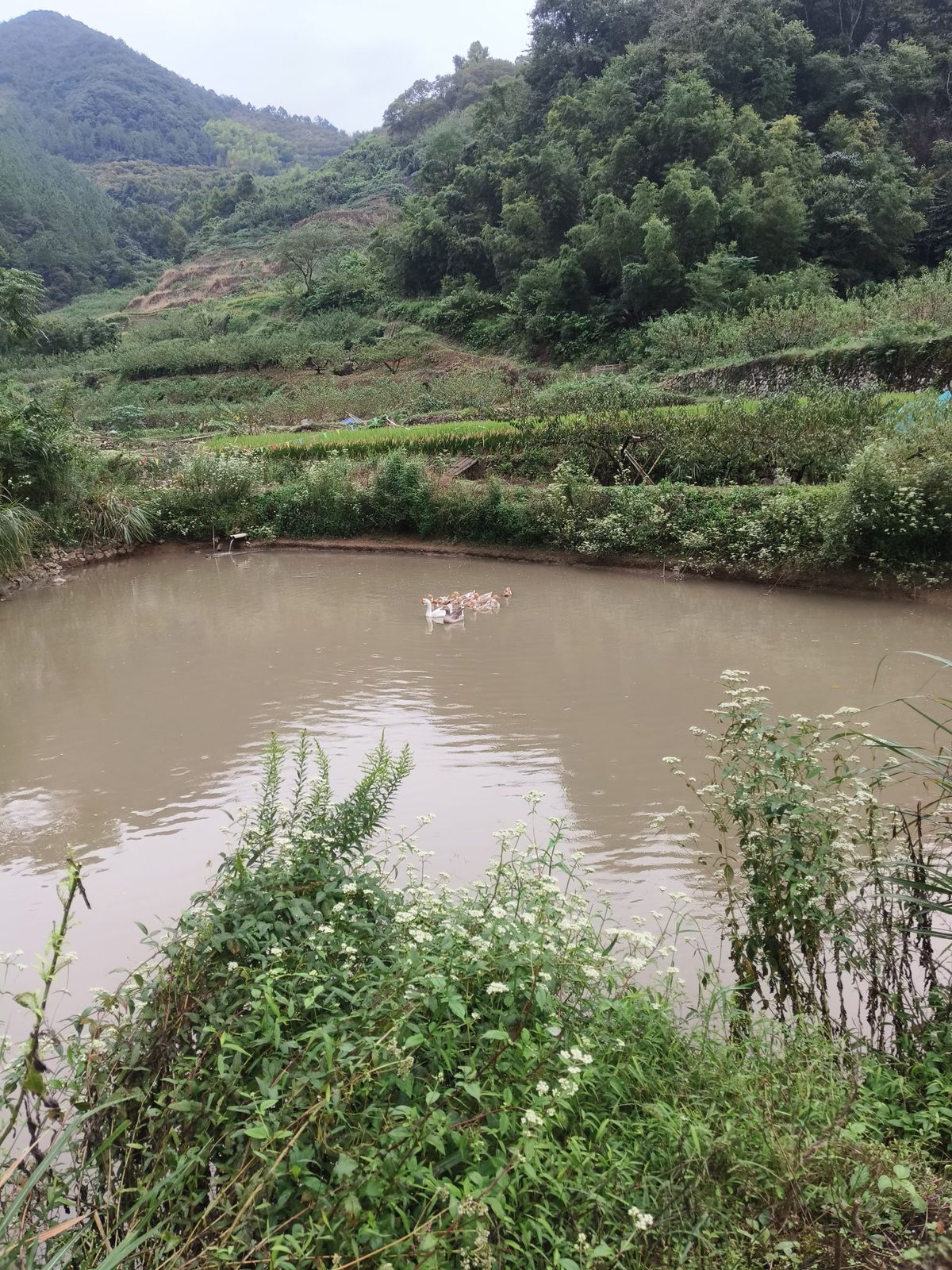 渔生垂钓园